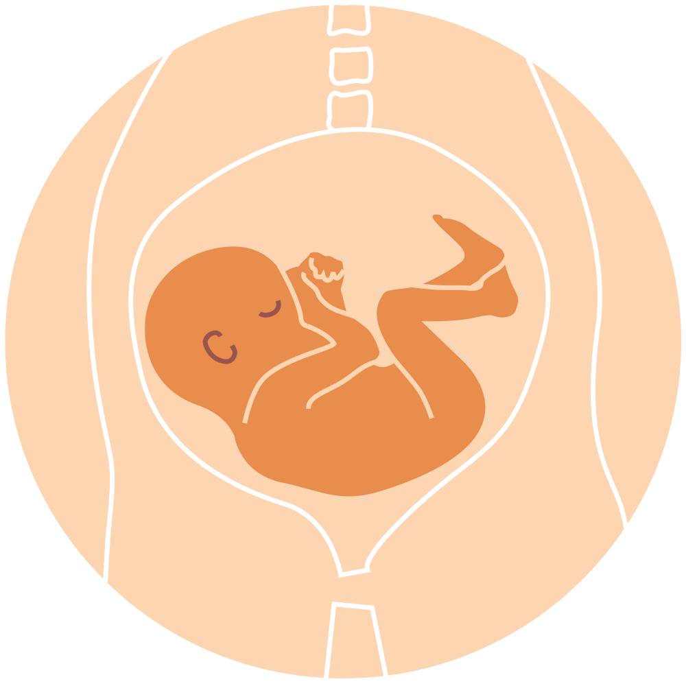 baby position in womb - Transverse lie position