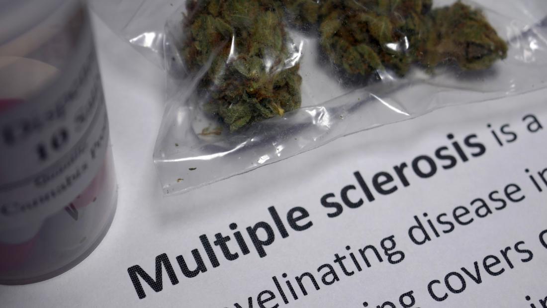 Cannabis multiple sclerosis