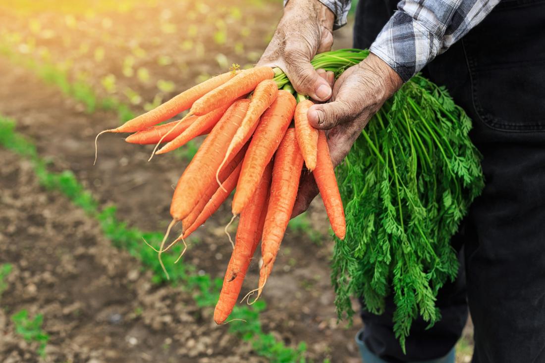 Cancer fighting foods carrots