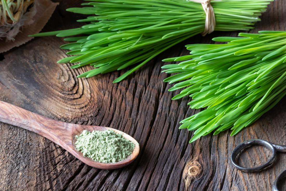 Barley grass powder on wooden spoon on wooden table with bunches of grass