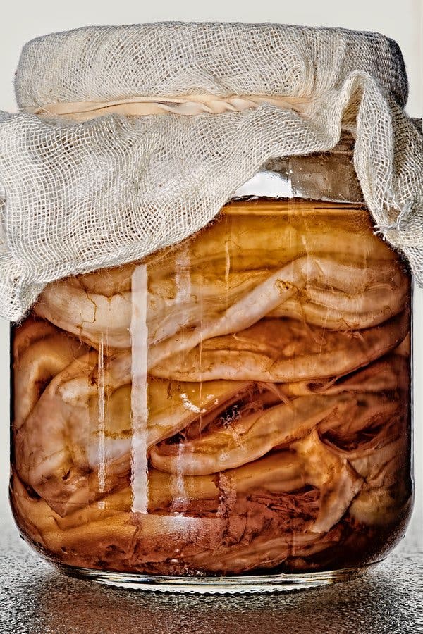 A Scoby hotel, or “Scotel.”
