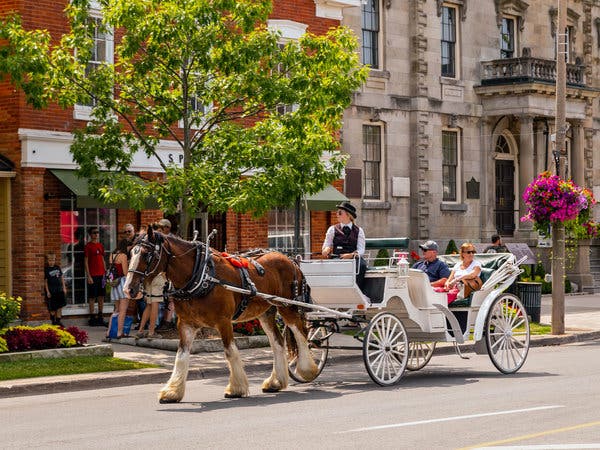 Horse-drawn carriages are a familiar sight in picturesque Niagara-on-the-Lake.