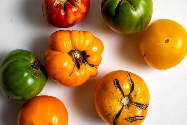 Heirloom tomatoes in various shades give this dish a pop of color.
