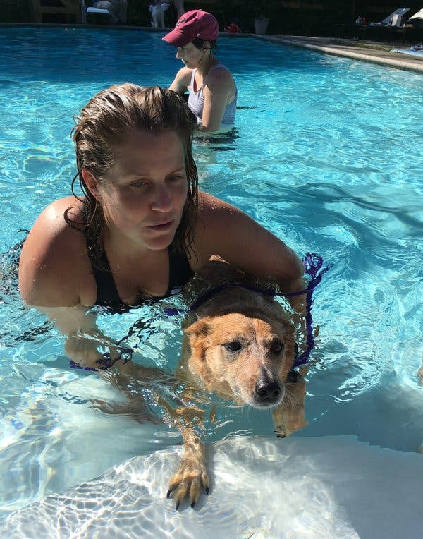 The author, Jen Miller, makes her dog Annie comfortable in the pool,