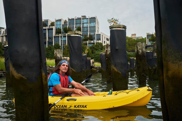 Matthew Frey, an experienced kayaker, was shocked to find not one, but two, tomato plants growing on the East River pilings near the Brooklyn Bridge.