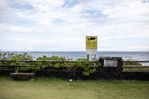 Since 2011, Réunion has been the site of one out of every three fatal shark attacks on the planet.