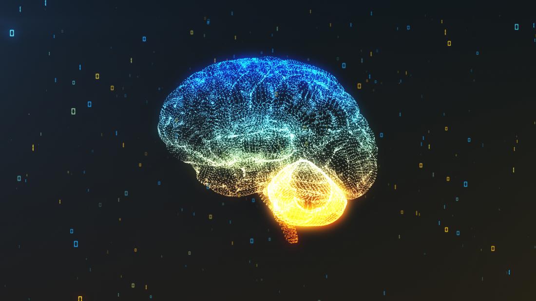 illustration of different brain regions