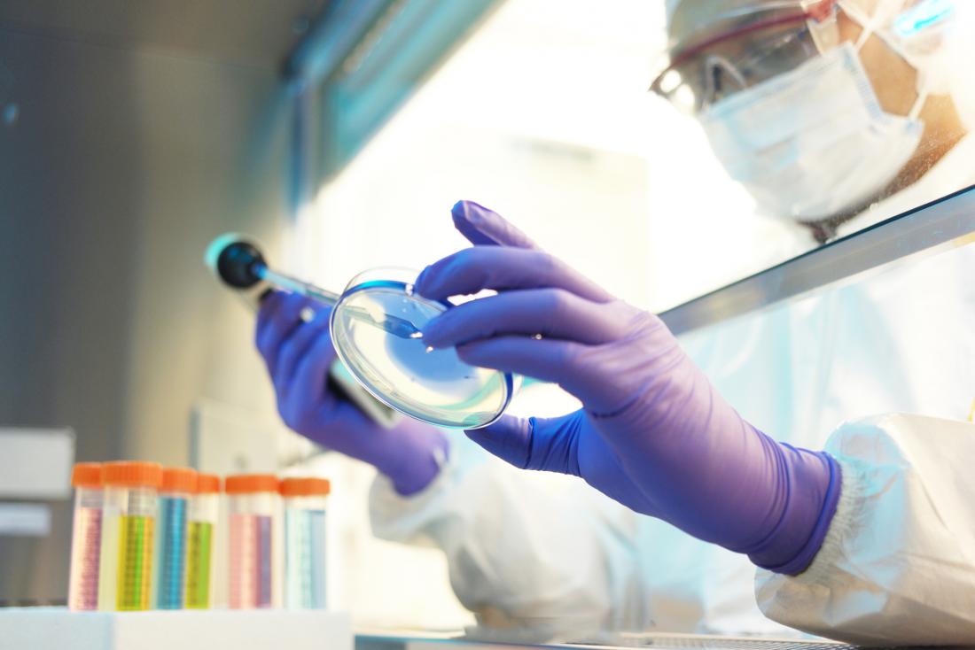 scientist examining petri dish in a lab
