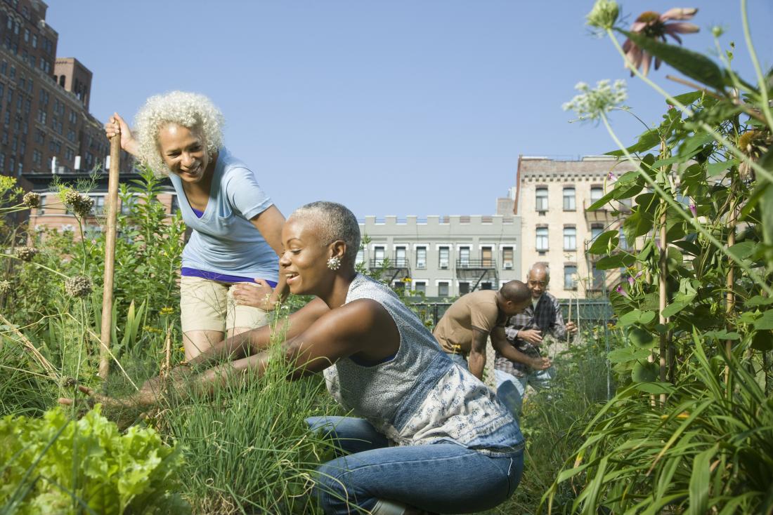 Mature or senior black women and men outdoors in urban park gardening