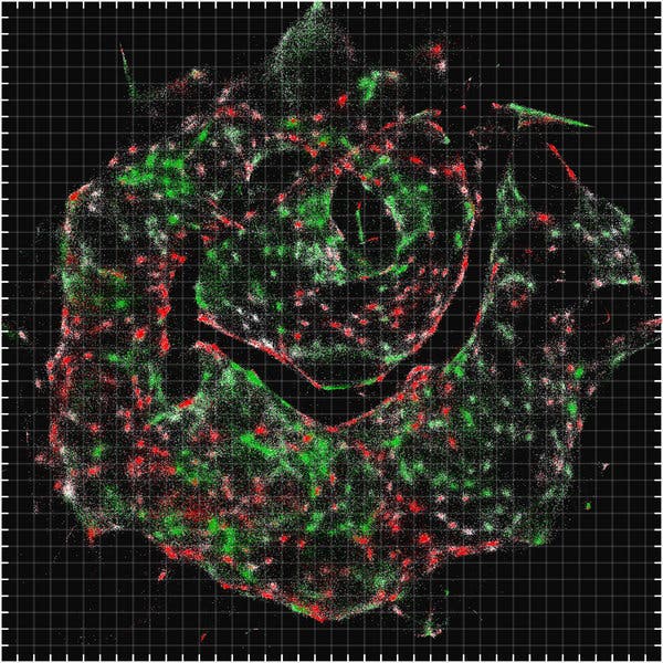 A visualization of data gathered by DNA microscopy, which peers inside individual cells.
