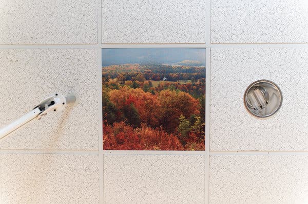 Artwork in the hospital’s ceiling tiles for patients who are immobile and can’t look outside.