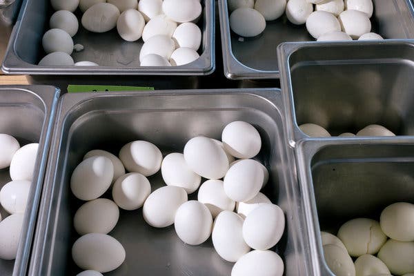 More than 700 eggs were cooked using different methods. Then 96 volunteers participated in a series of peeling and tasting tests.