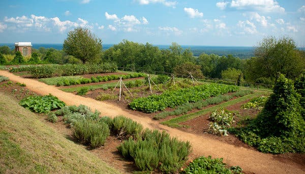 The gardens at Monticello, shown in 2011, when Ms. Waters first visited.