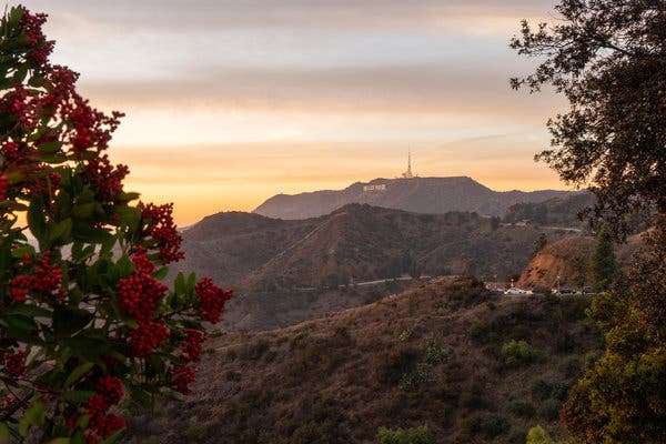 The Griffith Observatory offers panoramic views of the surrounding hills stretching all the way to the coast.