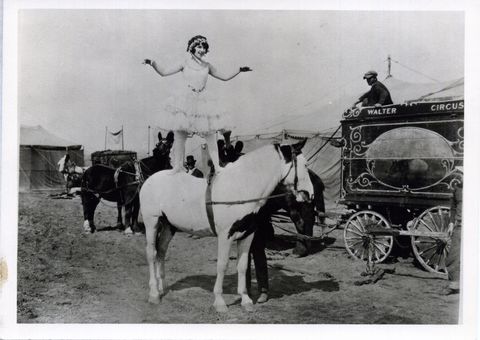 view of american trick rider tad lucas born barbara barnes, 1902 1990 balances, standing on the back of a horse, as she performs at the miller brothers 101 ranch, kay county, oklahoma, circa 1923 a wagon at left reads 'walter circus' founded by george miller, the 101 ranch was renamed the miller brothers 101 ranch when his sons, joseph, george jr, and zack, took over operations of the ranch in 1903 photo by oklahoma historical societygetty images