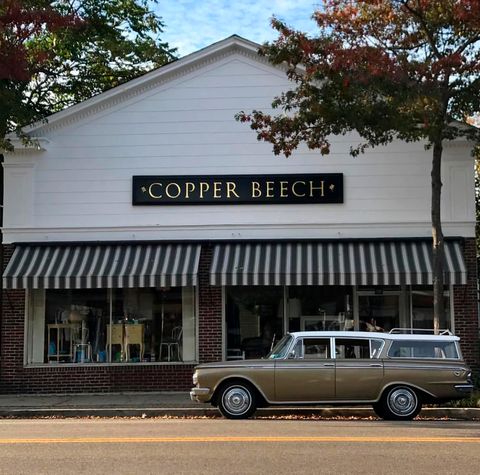 copper beech bellport new york