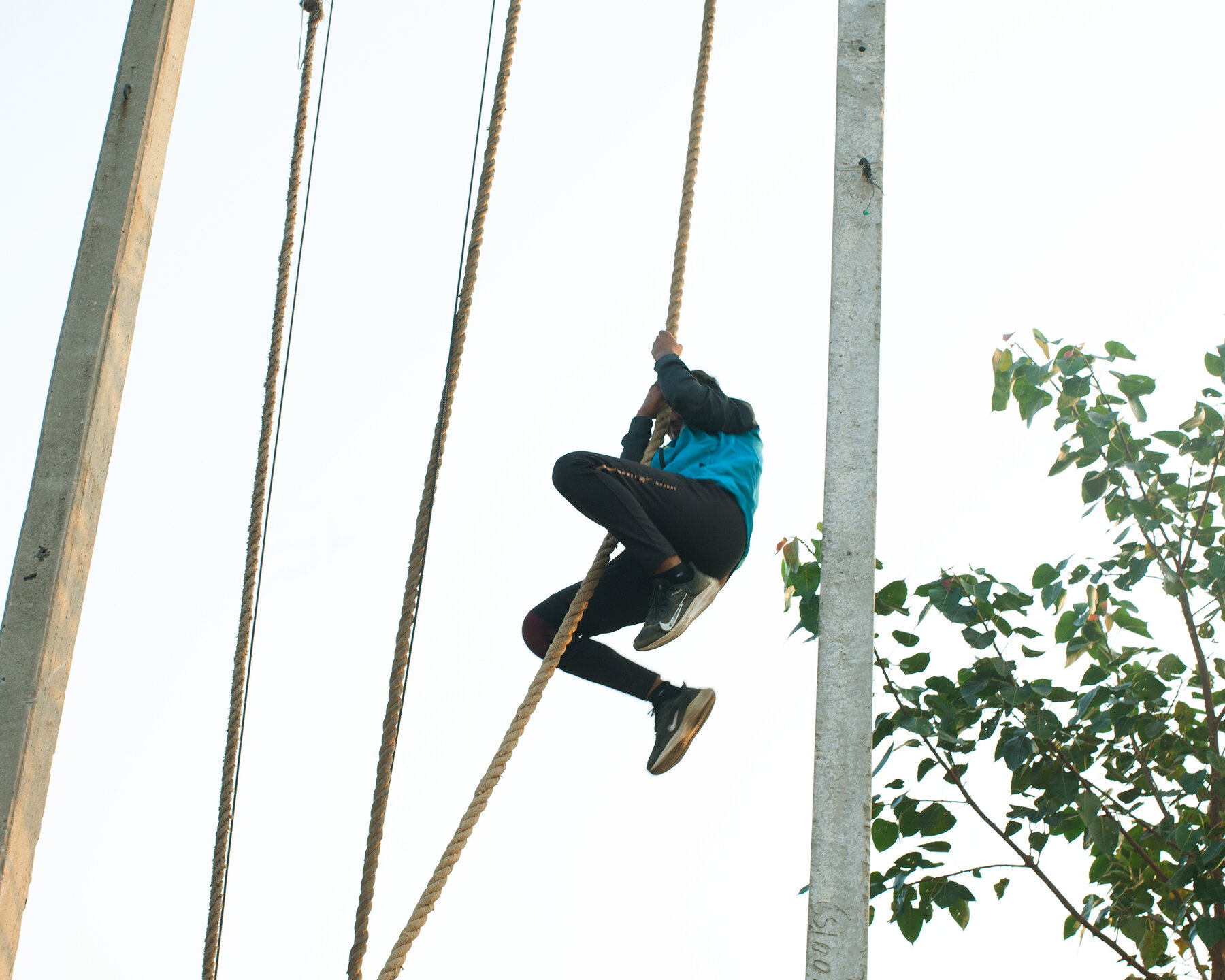 A young woman wearing a blue sweatshirt, black pants and sneakers, holding onto a rope suspended in the air. She is level with the top of a tree, which is to her right. To her left are more ropes and a wood post.