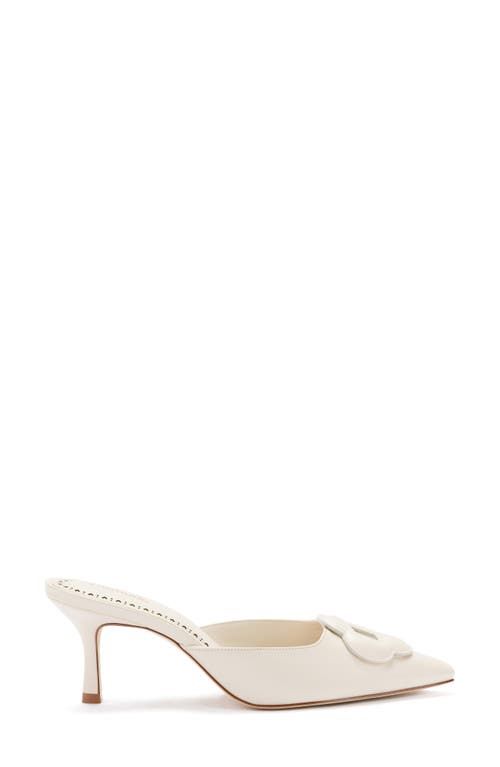 Flora Pointed Toe Mule 