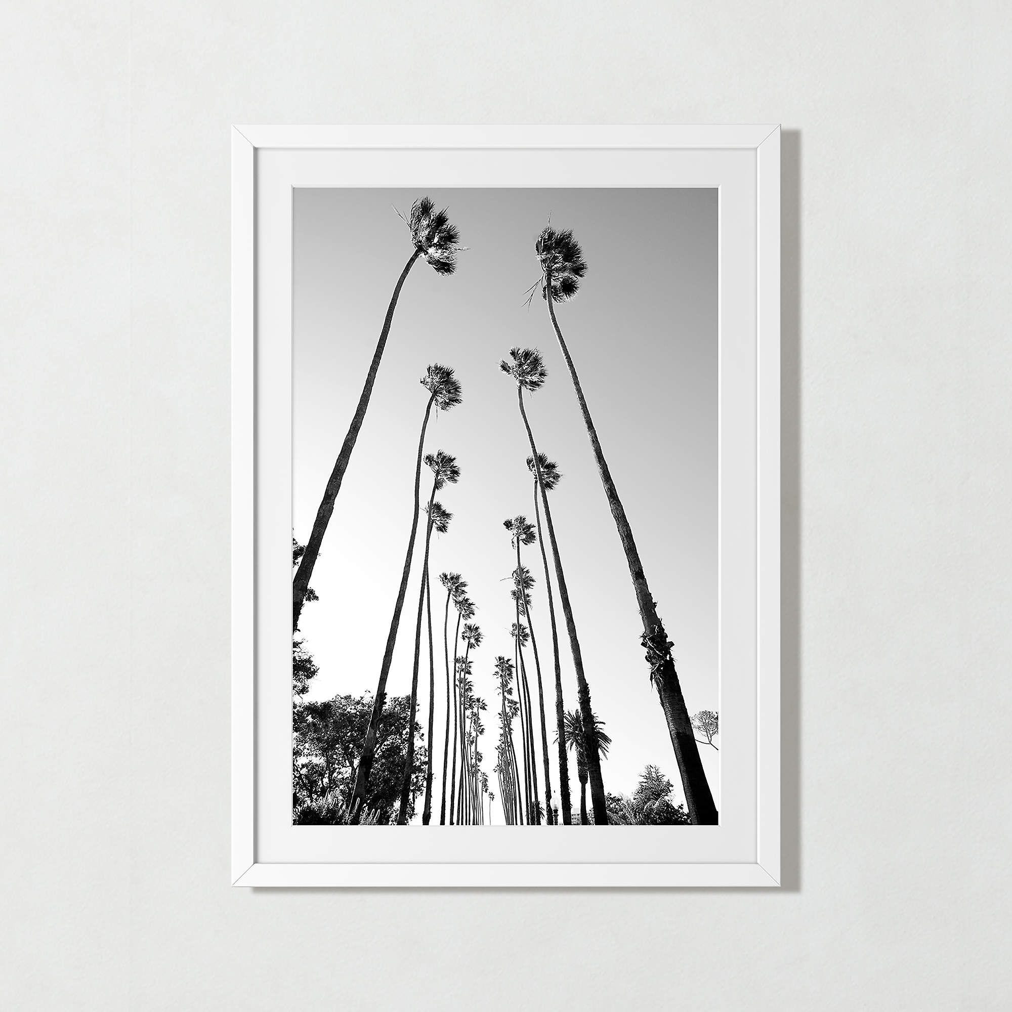 'Palm Trees Road' Photographic Print