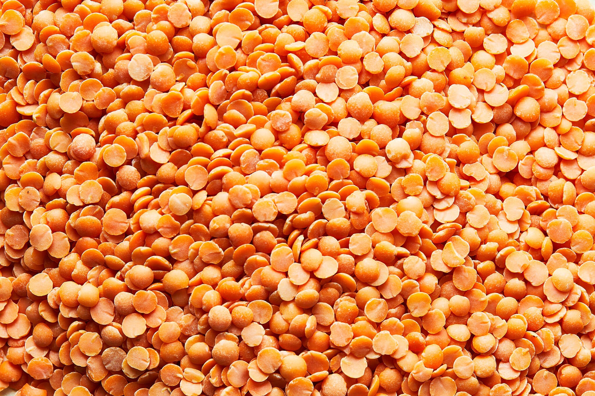 A close-up image of a number of split red lentils.