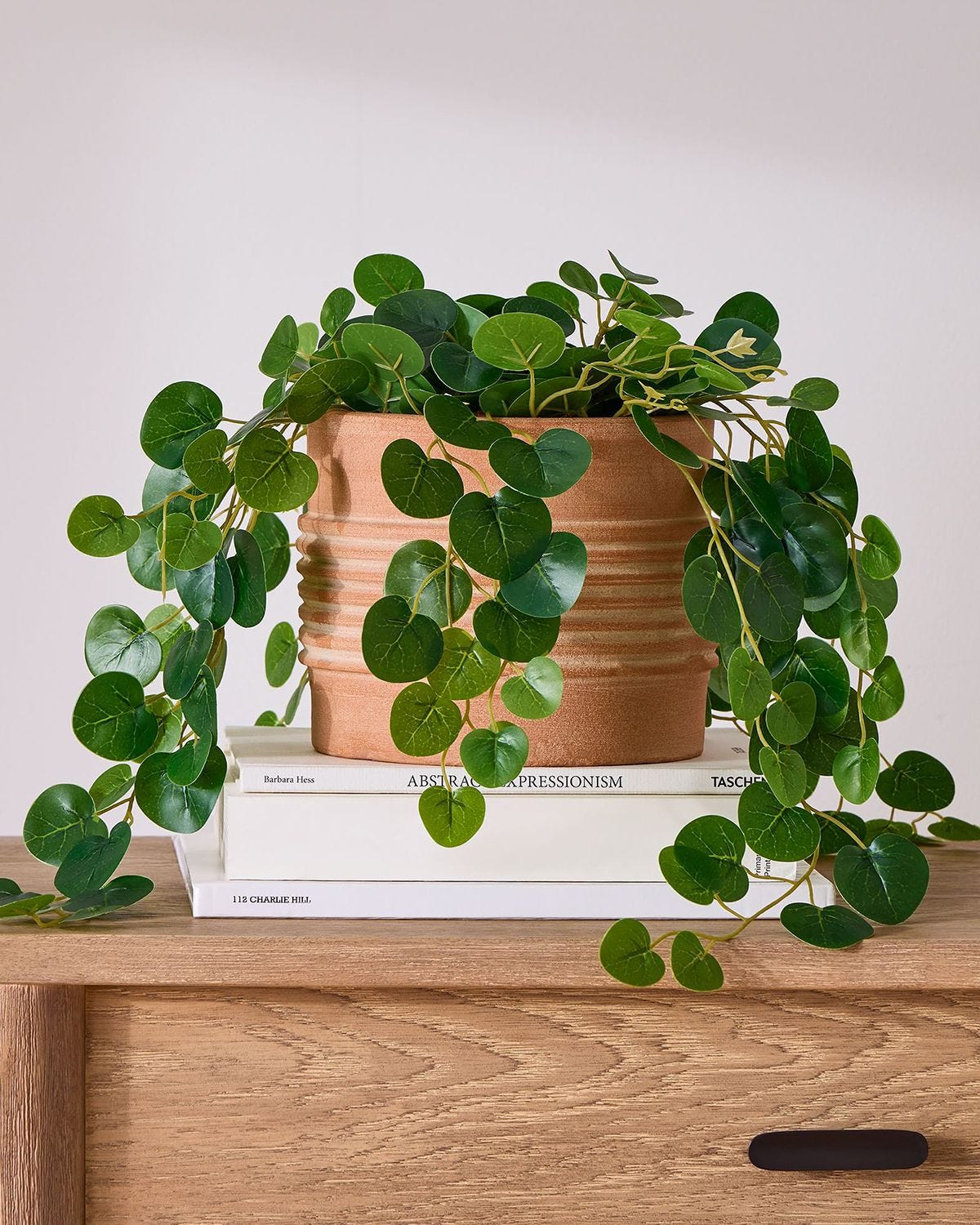 Faux Potted Trailing Leaf Plant