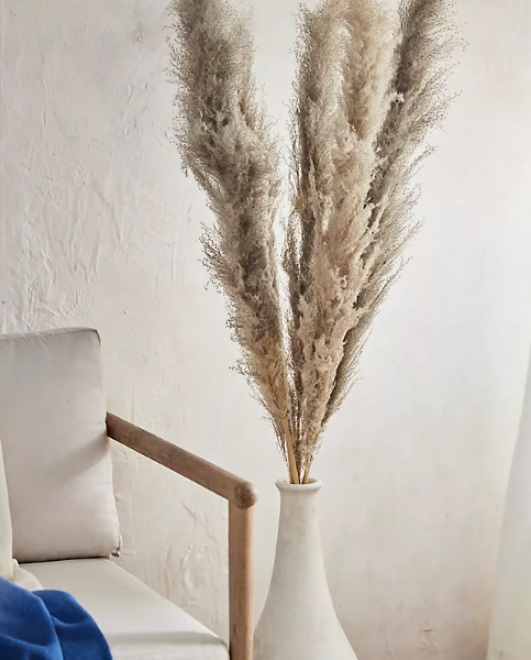 Dried Pampas Grass Bunch