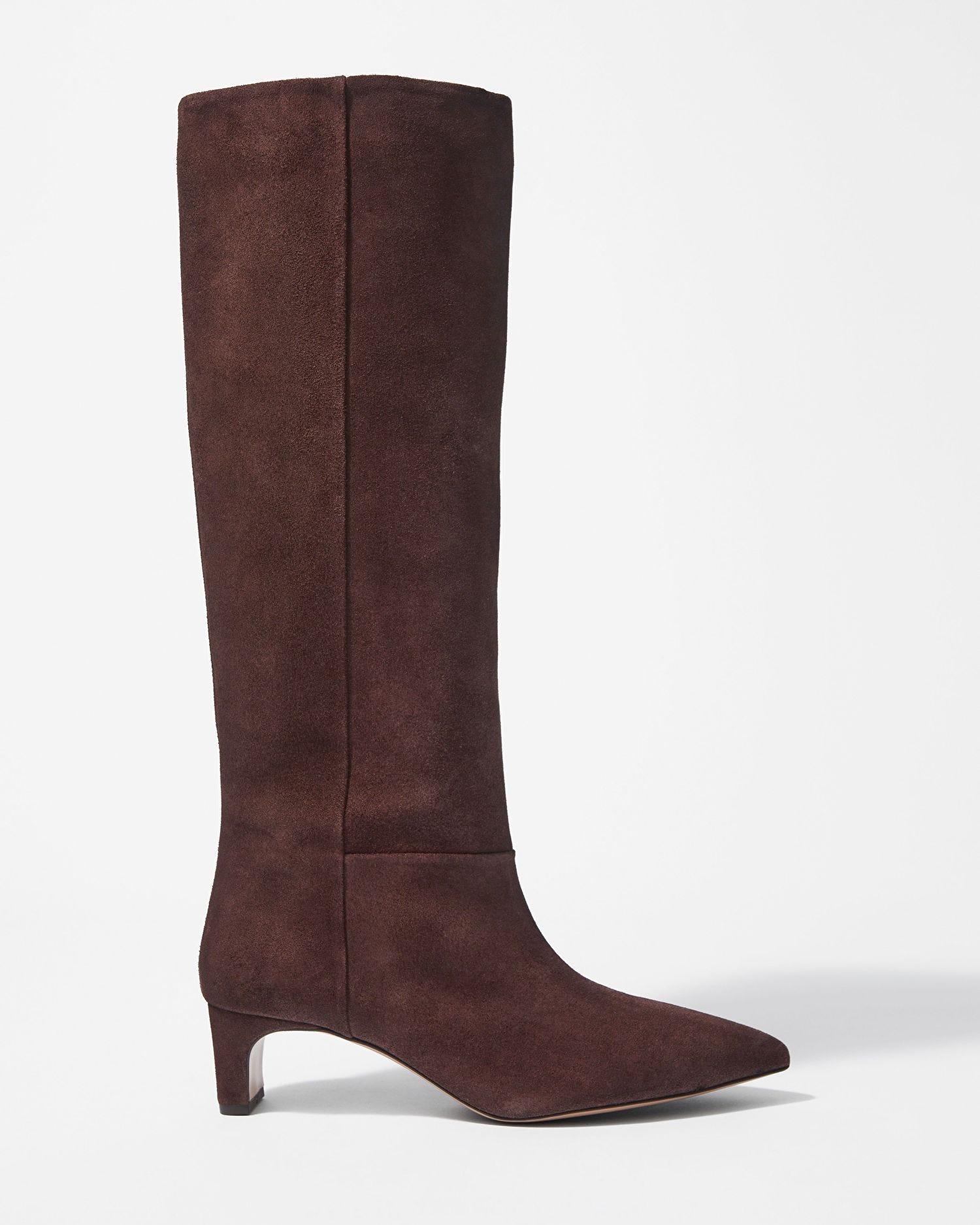 Pointed-Toe Knee-High Boots